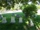 Ensign Family Gravestones 