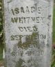 Isaac E Whitney 1841-1901