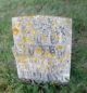 Susan Tibbetts Trufant 1783-1818