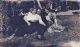 Hattie A Lyons, Charles and Edith Sheely Hattie A Lyons, Charles and Edith Sheely