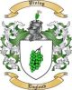 Vining Family Coat of Arms